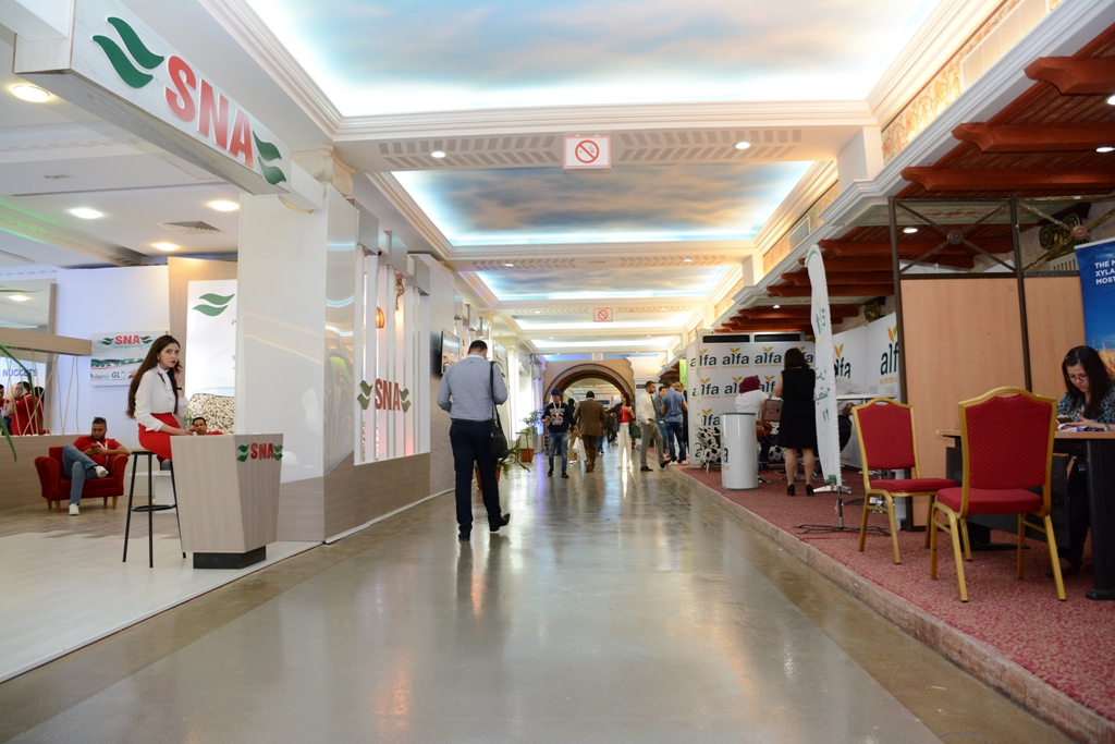PAMED 2019: all you need to know about the biggest Mediterranean Agricultural Fair